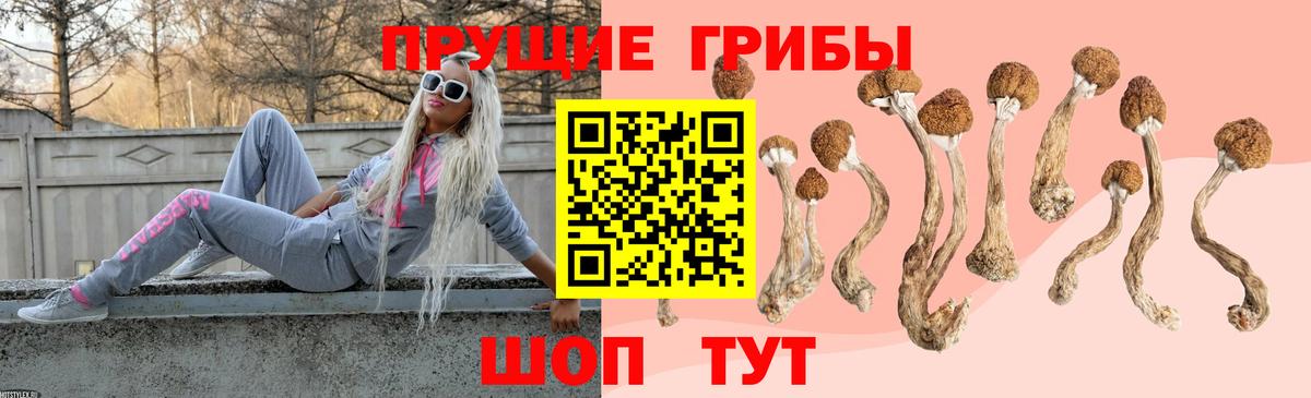 Белогорск  Галлюциногенные грибы MAGIC MUSHROOMS  Вход с VPN 